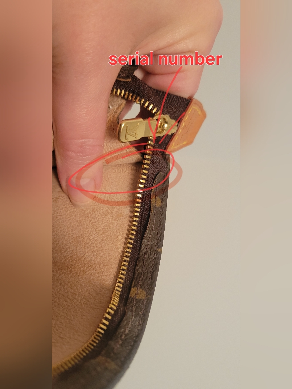 Louis Vuitton Monogram Mini Shoulder Bag in Brown and Gold - Picture 12 of 15